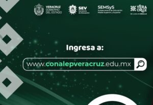 conalepveracruz edu mx